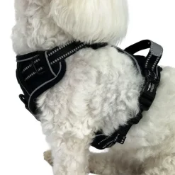 Ollipet Adventure Hundesele Sort str. XL, OUTLET