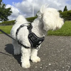 Ollipet Adventure Hundesele Sort str. XL, OUTLET