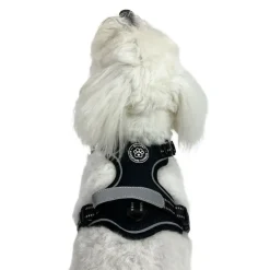 Ollipet Adventure Hundesele Sort str. XL, OUTLET