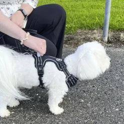 Ollipet Adventure Hundesele Sort str. XL, OUTLET
