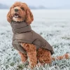 Ollipet Alpine Explorer Hundejakke