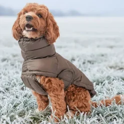Ollipet Alpine Explorer Hundejakke