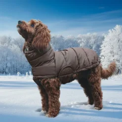 Ollipet Alpine Explorer Hundejakke