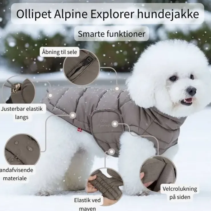 Ollipet Alpine Explorer Hundejakke