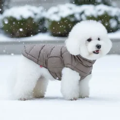 Ollipet Alpine Explorer Hundejakke