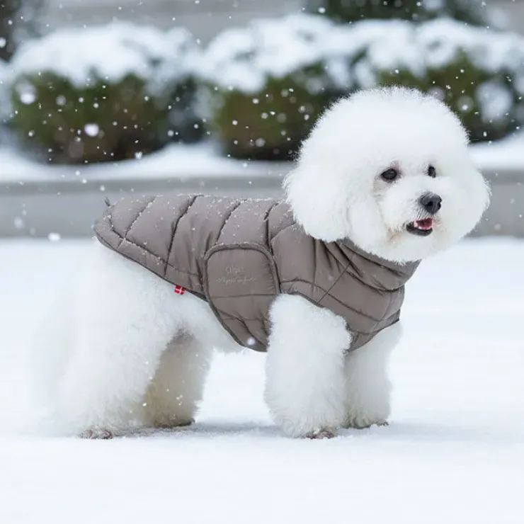 Ollipet Alpine Explorer Hundejakke