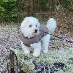 Ollipet Alpine Explorer Hundejakke