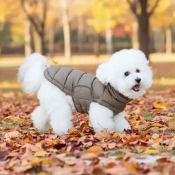 Ollipet Alpine Explorer Hundejakke