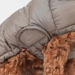 Ollipet Alpine Explorer Hundejakke