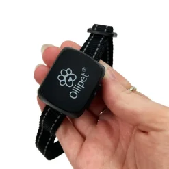 Ollipet Anti-gø-halsbånd MINI