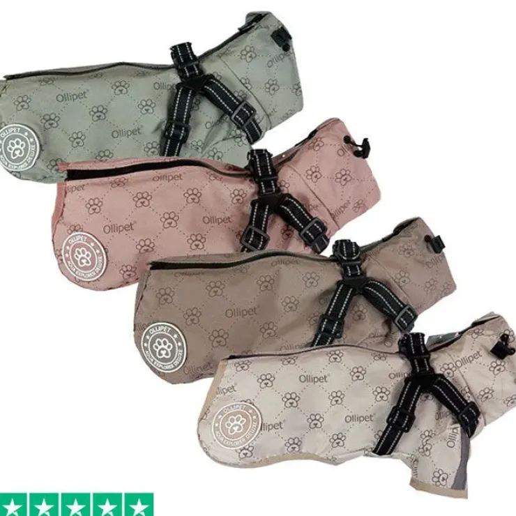 Ollipet Aqua Explorer De LuxeRegnjakke | Med Sele