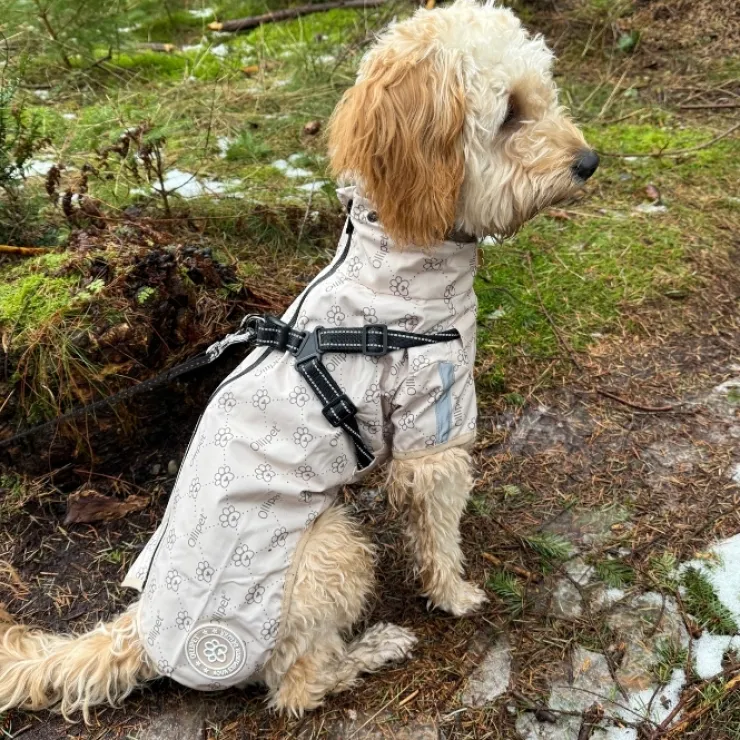 Ollipet Aqua Explorer De LuxeRegnjakke | Med Sele