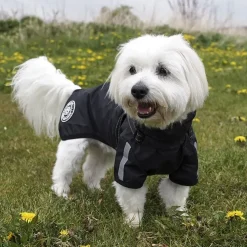 Ollipet Aqua Explorer Regnjakke med sele