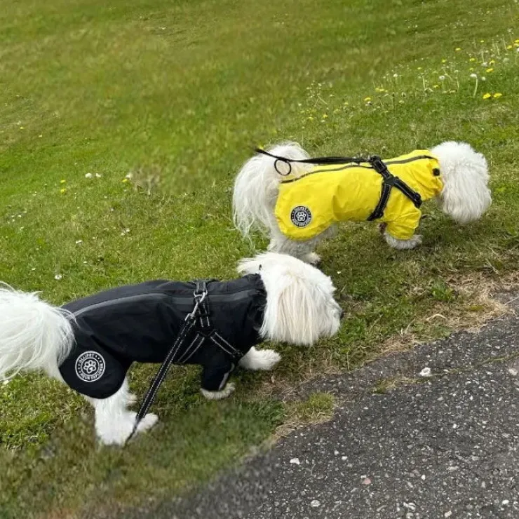 Ollipet Aqua Explorer Regnjakke med sele