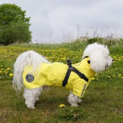 Ollipet Aqua Explorer Regnjakke med sele