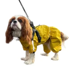 Ollipet AQUA Full Body Regndragt | M. Sele | OUTLET