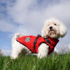 Ollipet Arctic Explorer | Hundedækken