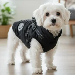 Ollipet Arctic Explorer | Hundedækken