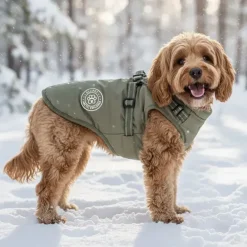 Ollipet Arctic Explorer | Hundedækken