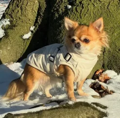 Ollipet Arctic Explorer | Hundedækken