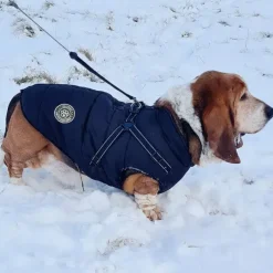Ollipet Arctic Explorer | Hundedækken