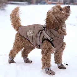 Ollipet Arctic Explorer | Hundedækken