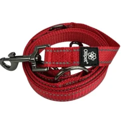 Ollipet Arctic Explorer | Refleks Dressurline