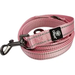 Ollipet Arctic Explorer | Refleks Dressurline