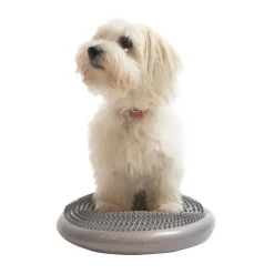 Ollipet Balancepude