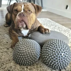 Ollipet Balancepude