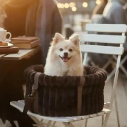 Ollipet Bella Bloom 3i1 bæretaske