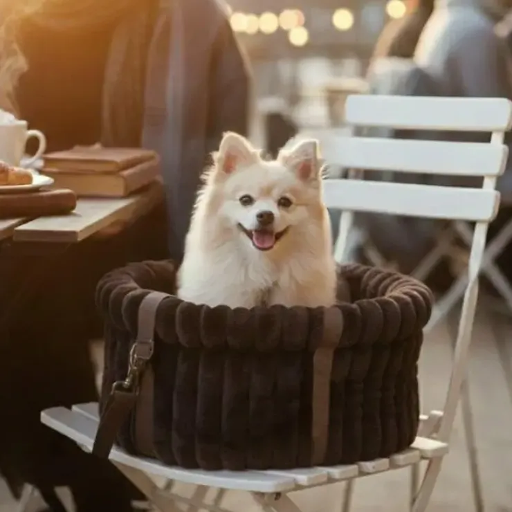 Ollipet Bella Bloom 3i1 bæretaske