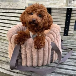 Ollipet Bella Bloom 3i1 bæretaske
