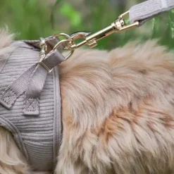 Ollipet Bijou Hundesnor | Fløjl