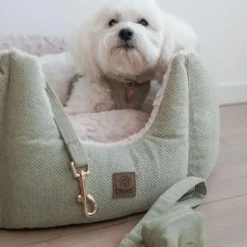 Ollipet Bijou Step-in hundesele | Fløjl