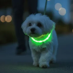 Ollipet Blinkende LED Halsbånd