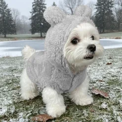 Ollipet BunnyPup dragt
