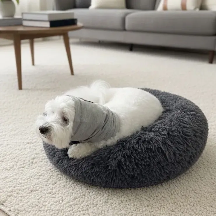 Ollipet Calm Hoodie