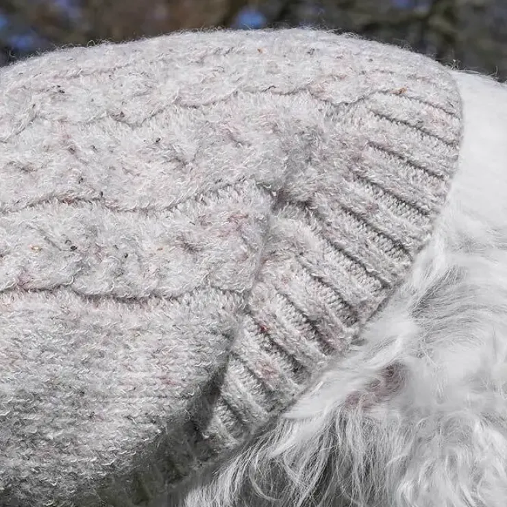 Ollipet Camel Sweater