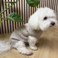 Ollipet Camel Sweater