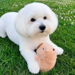 Ollipet Capybara Plysdyr | Flere varianter