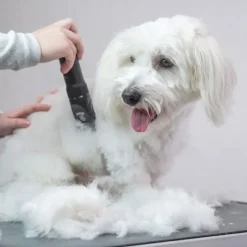 Ollipet Ceramic Pro Clipper | Klippemaskine