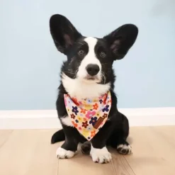 Ollipet City Lux Bandana | Sweet Flowers | OUTLET