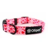 Ollipet City Lux Halsbånd | Hearts Of Love