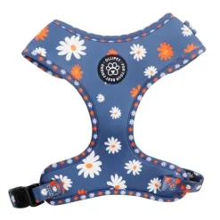 Ollipet City Lux Hundesele | Blue Marguerites | OUTLET