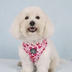 Ollipet City Lux Hundesele | Hearts Of Love | OUTLET