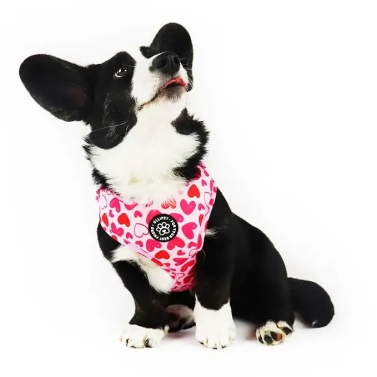 Ollipet City Lux Hundesele | Hearts Of Love | OUTLET
