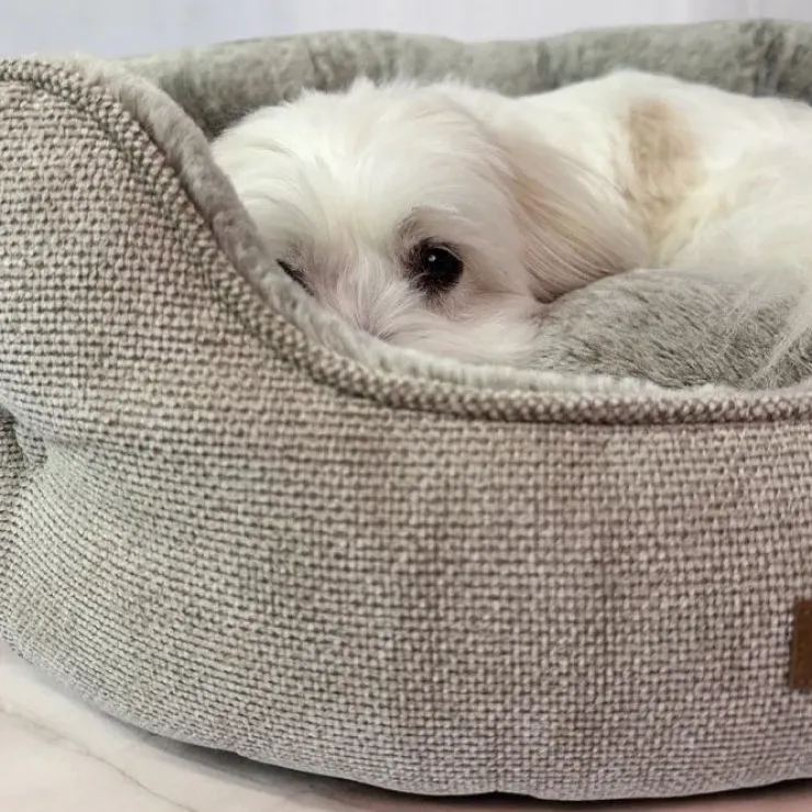 Ollipet Cocoon hundeseng