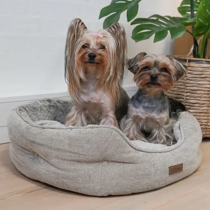 Ollipet Cocoon hundeseng