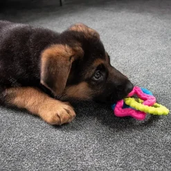Ollipet ColourPups - Bideringe til hvalpe